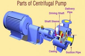 parts of centrifugal pump
