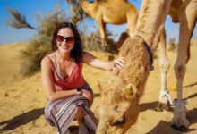 Photo of Evening Desert Safari – A Paradise for the Travelers