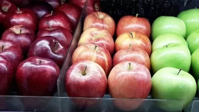 Photo of 10 Varieties of Apple in India For Healthy Lifestyle