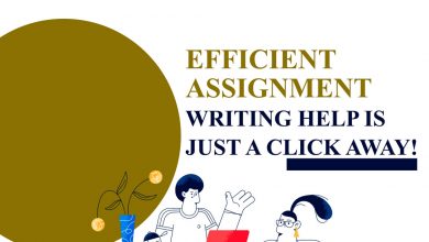 Photo of Efficient Assignment Writing Help is just a click away