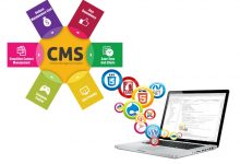 Photo of We Have To Appreciate The Efforts Of Web And CMS Management Company