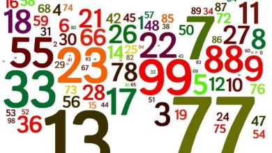 Photo of UK49s HOT NUMBERS | LUNCHTIME HOT NUMBERS