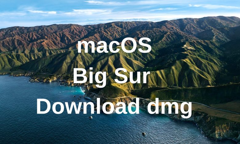 macos big sur 11.1 download dmg