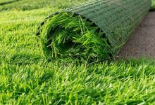 Photo of How To Find The Best Artificial Grass Suppliers Geelong