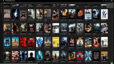 Photo of Tamil Rockers- The Movie Downloading Site