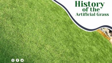 Photo of The Best Artificial Grass For Your Home Or Office