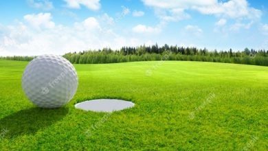 Photo of Top 10 Golf Balls For Senior Introductory