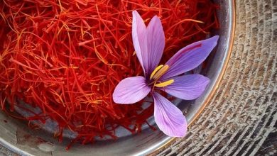Photo of Four benefits of saffron in male