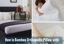 Photo of Do Orthopedic Pillow Helps in Neck and Shoulder Pain?