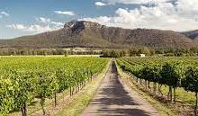 Photo of ALL ABOUT HUNTER VALLEY, AUSTRALIA  