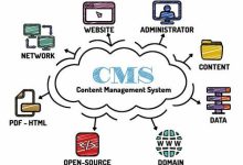 Photo of How To Become Pro In Cms Web Development