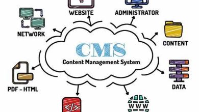 Photo of How To Become Pro In Cms Web Development