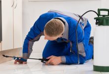 Photo of Reasons Why Hiring a Pest Services Company Might Be A Better Idea Than Doing It Yourself