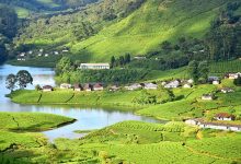 Photo of Planning a Honeymoon in Munnar with the Munnar Honeymoon Travel Guide