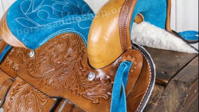 Photo of Horse Saddles for Sale