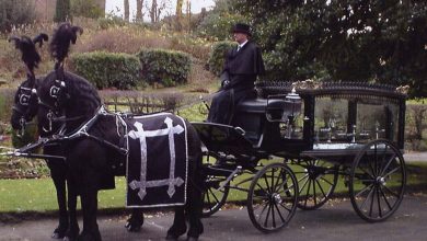 Photo of Horse Drawn Funeral Services is Honor for Family Members – How?