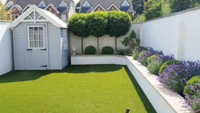 Photo of Artificial grass lawn Dubai & Benefits of artificial grass