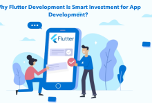 Photo of Why Flutter Development Is Smart Investment for App Development?