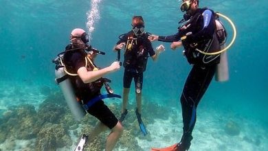 Photo of The Excitement of Diving in Egypt for Fun